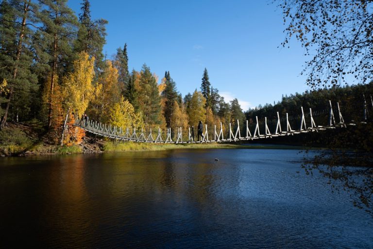 Embracing the Great Outdoors: A Journey of Adventure and Discovery