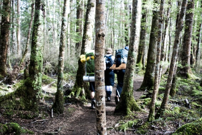 The Art of Slow Travel: Embracing Nature’s Pace